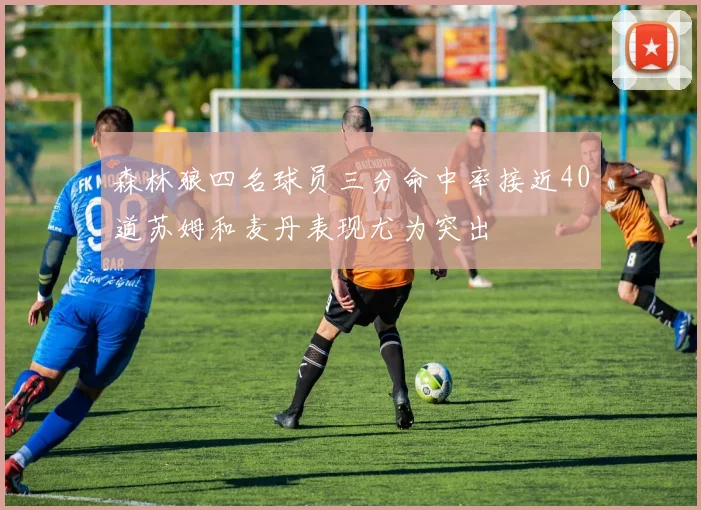 森林狼四名球员三分命中率接近40道苏姆和麦丹表现尤为突出