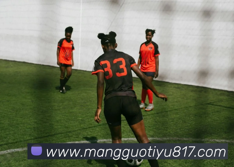 App Interface Preview