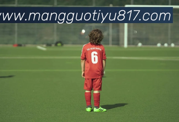 芒果体育APP 封面图